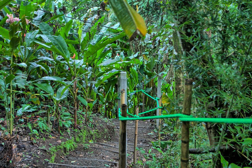 Lodge Mountain Paradise