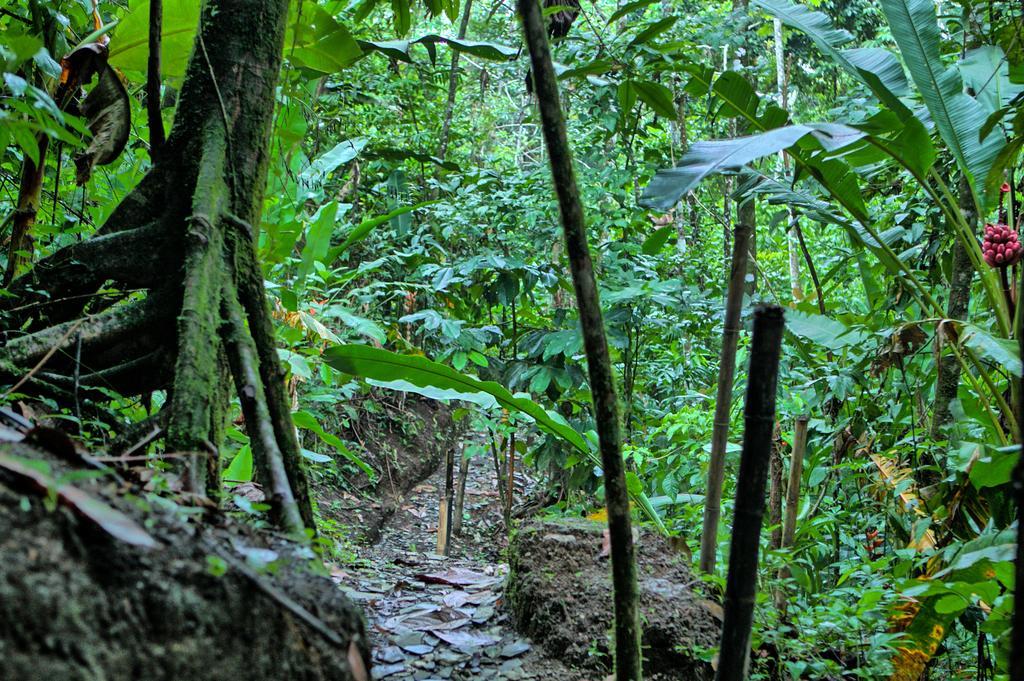 Mountain Paradise La Fortuna