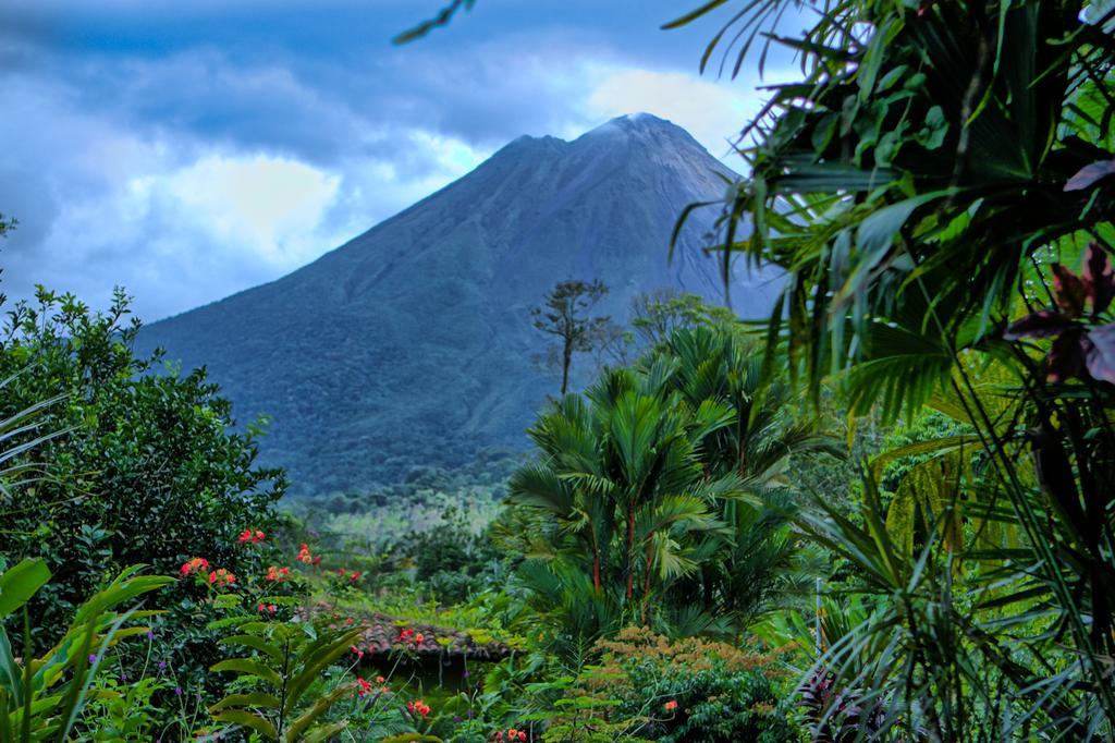 Lodge Mountain Paradise *